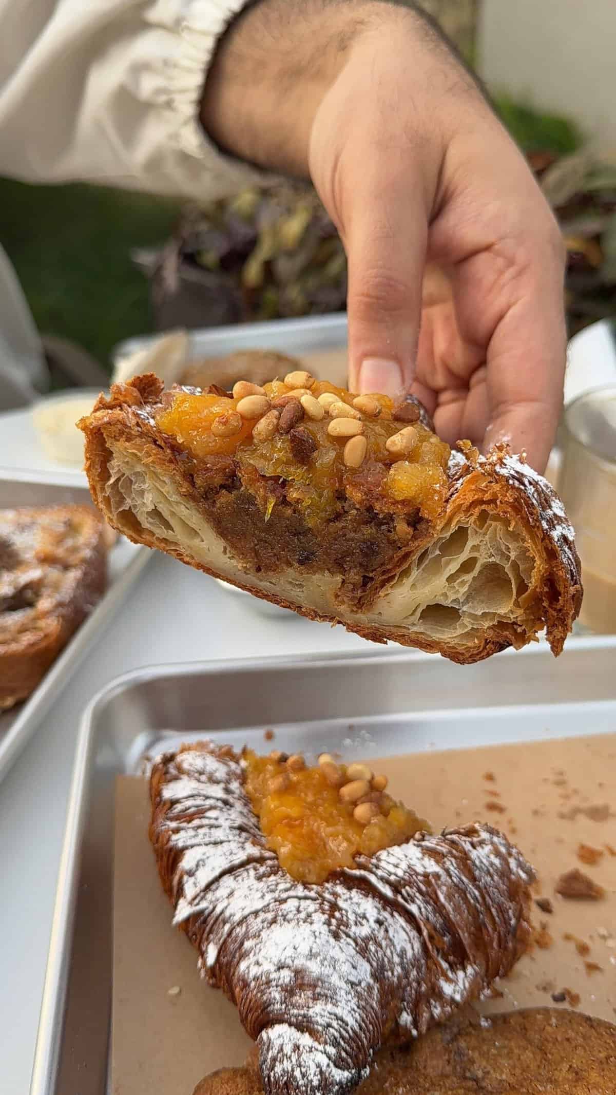 בטן מלאה סאנפלוור