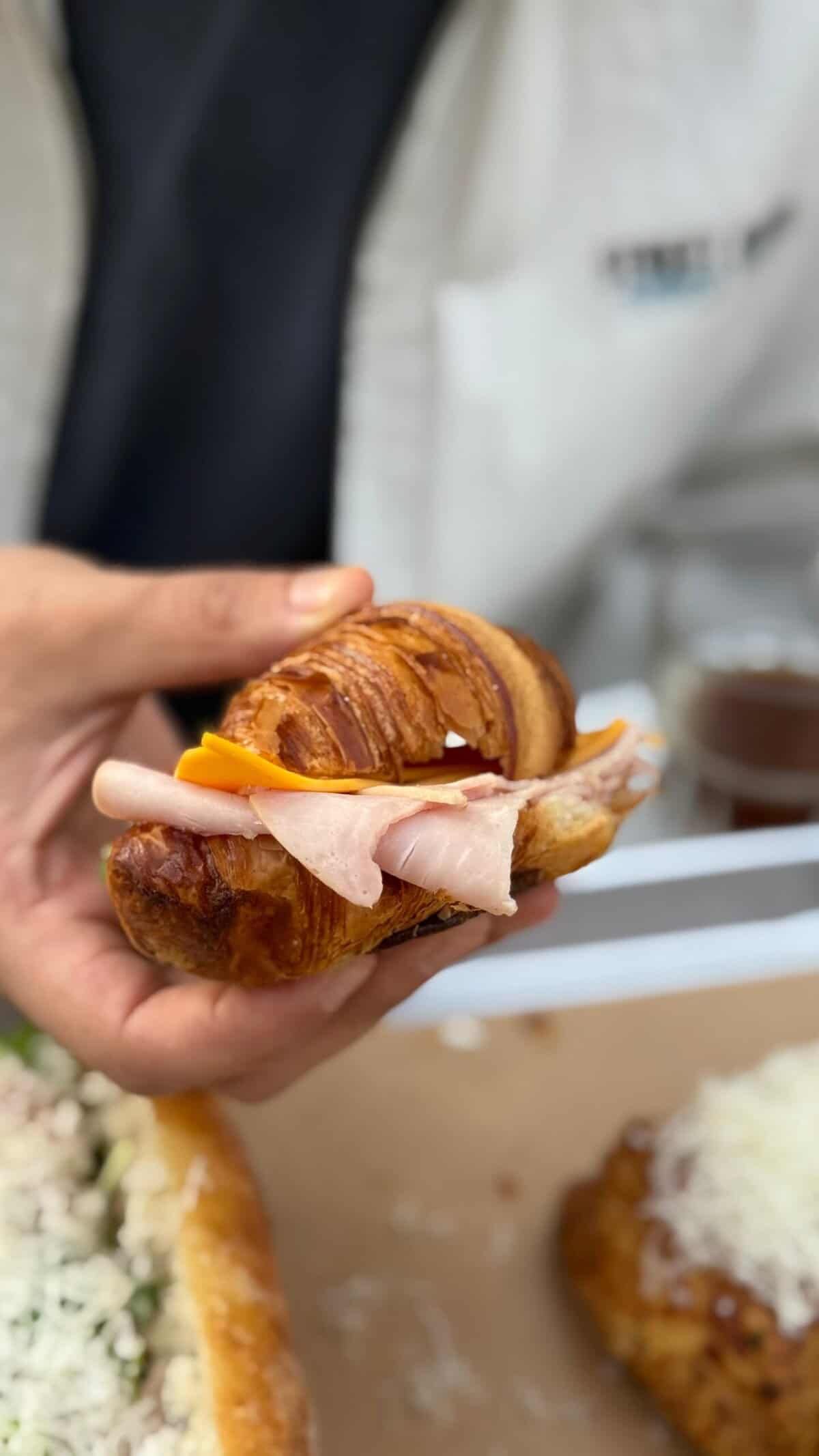 בטן מלאה סאנפלוור