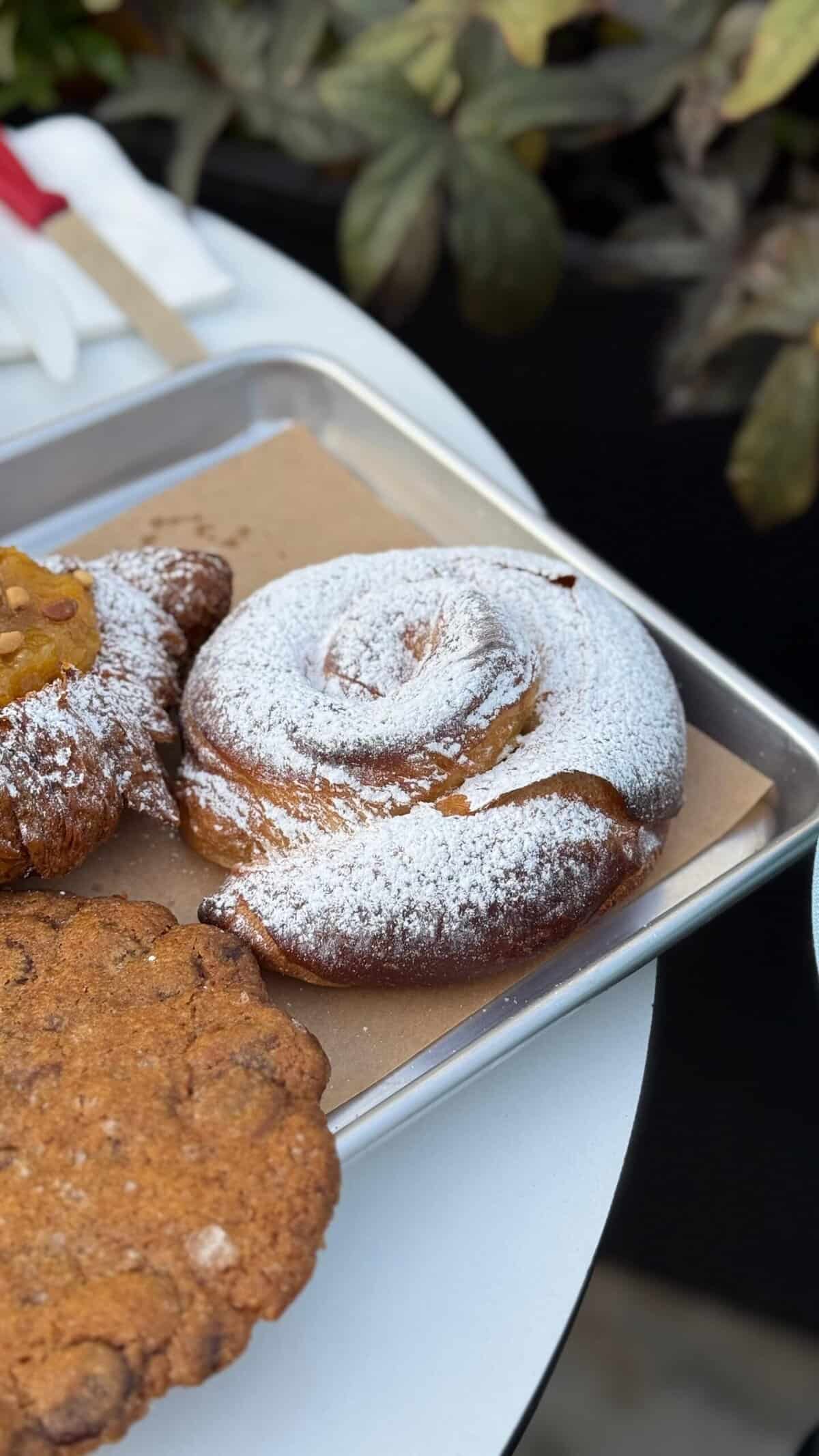 בטן מלאה סאנפלוור