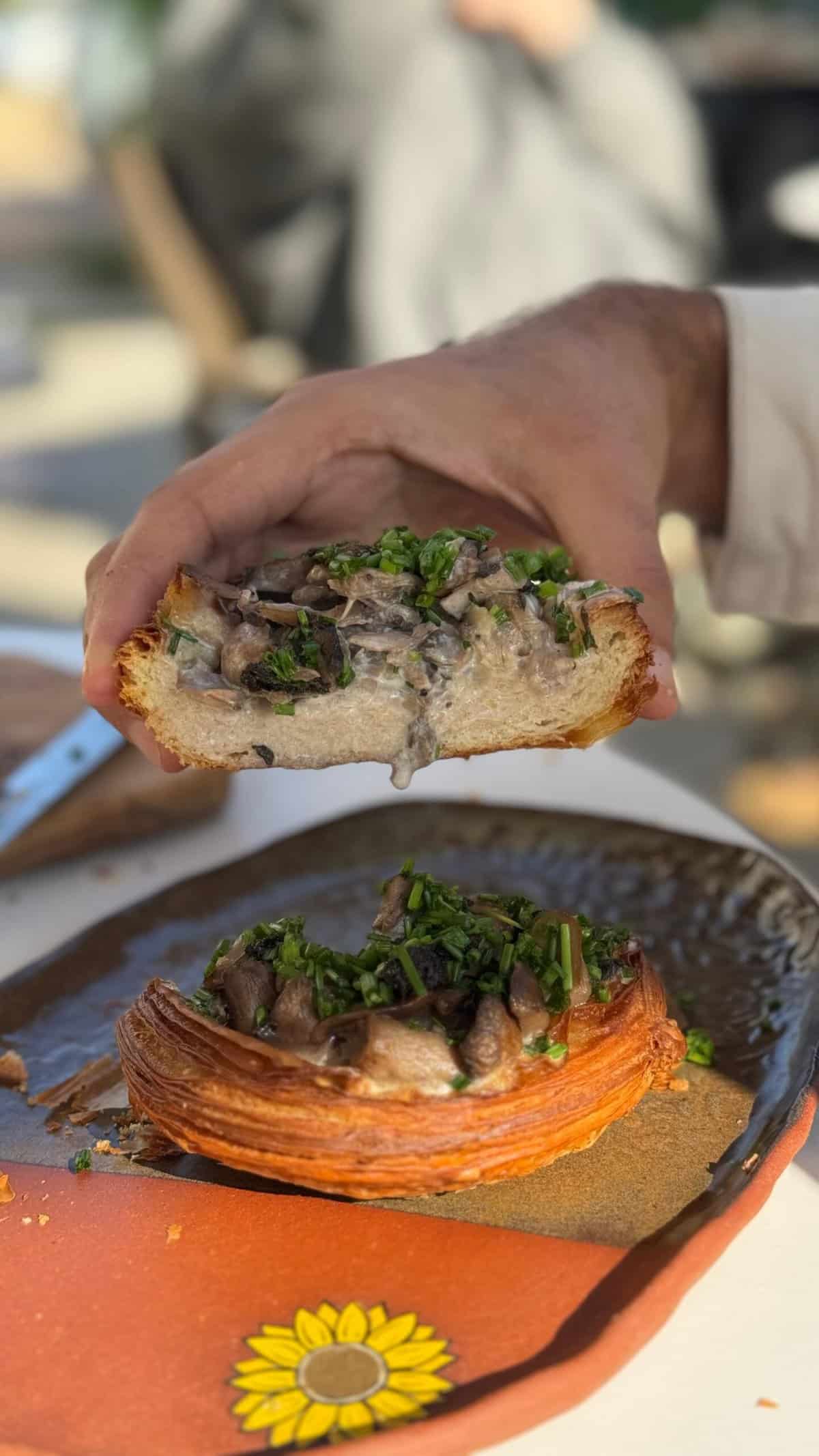 בטן מלאה סאנפלוור