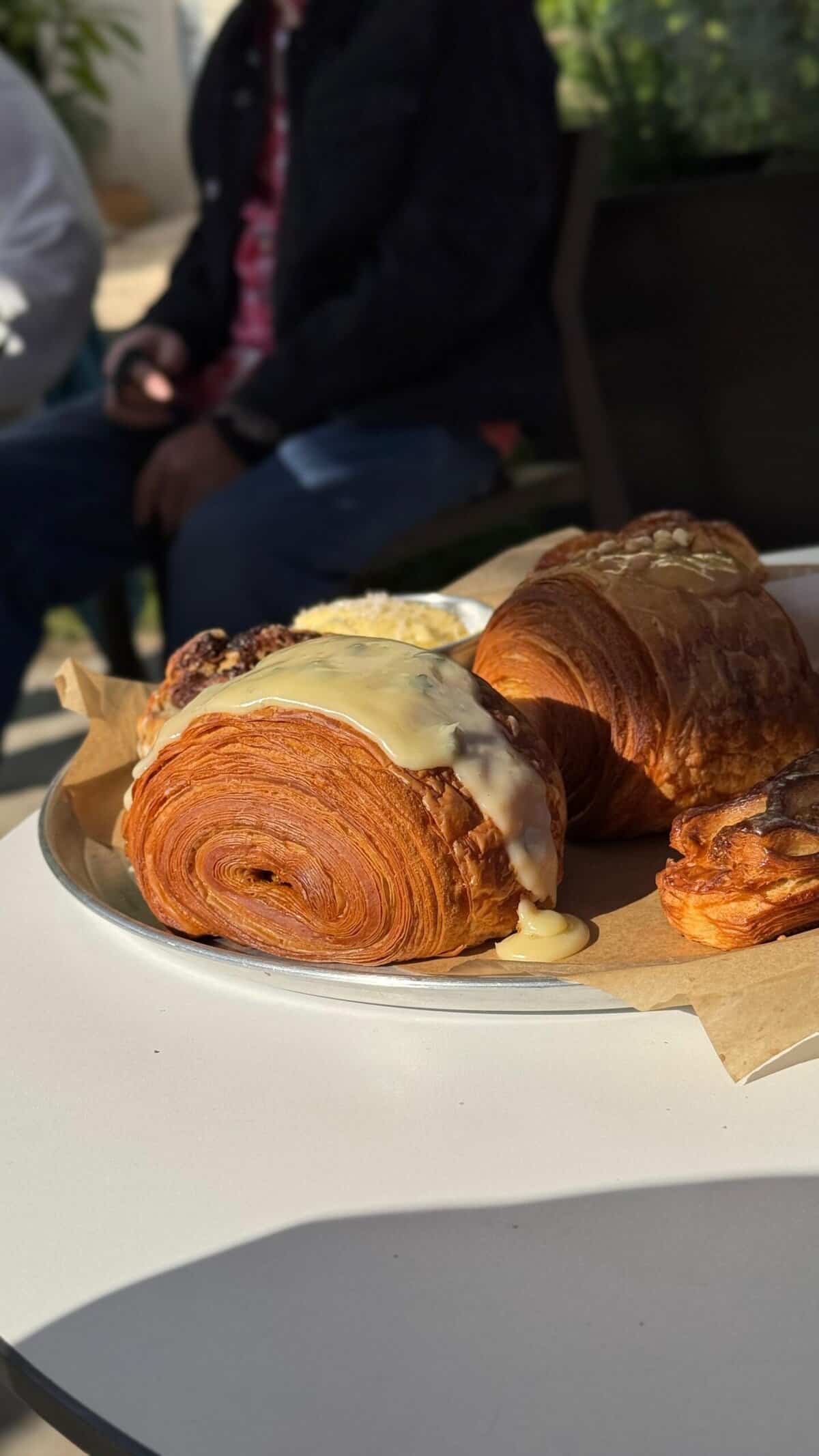 בטן מלאה סאנפלוור