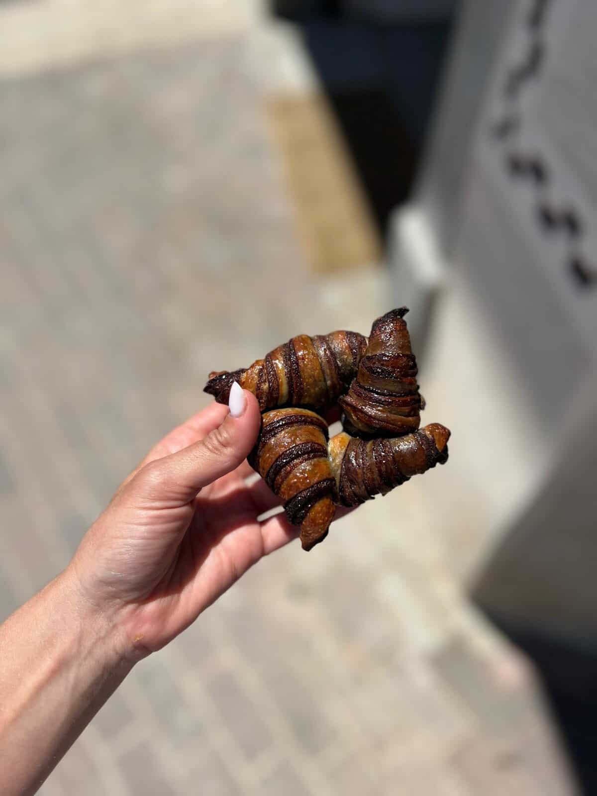 סאנפלוור בטן מלאה