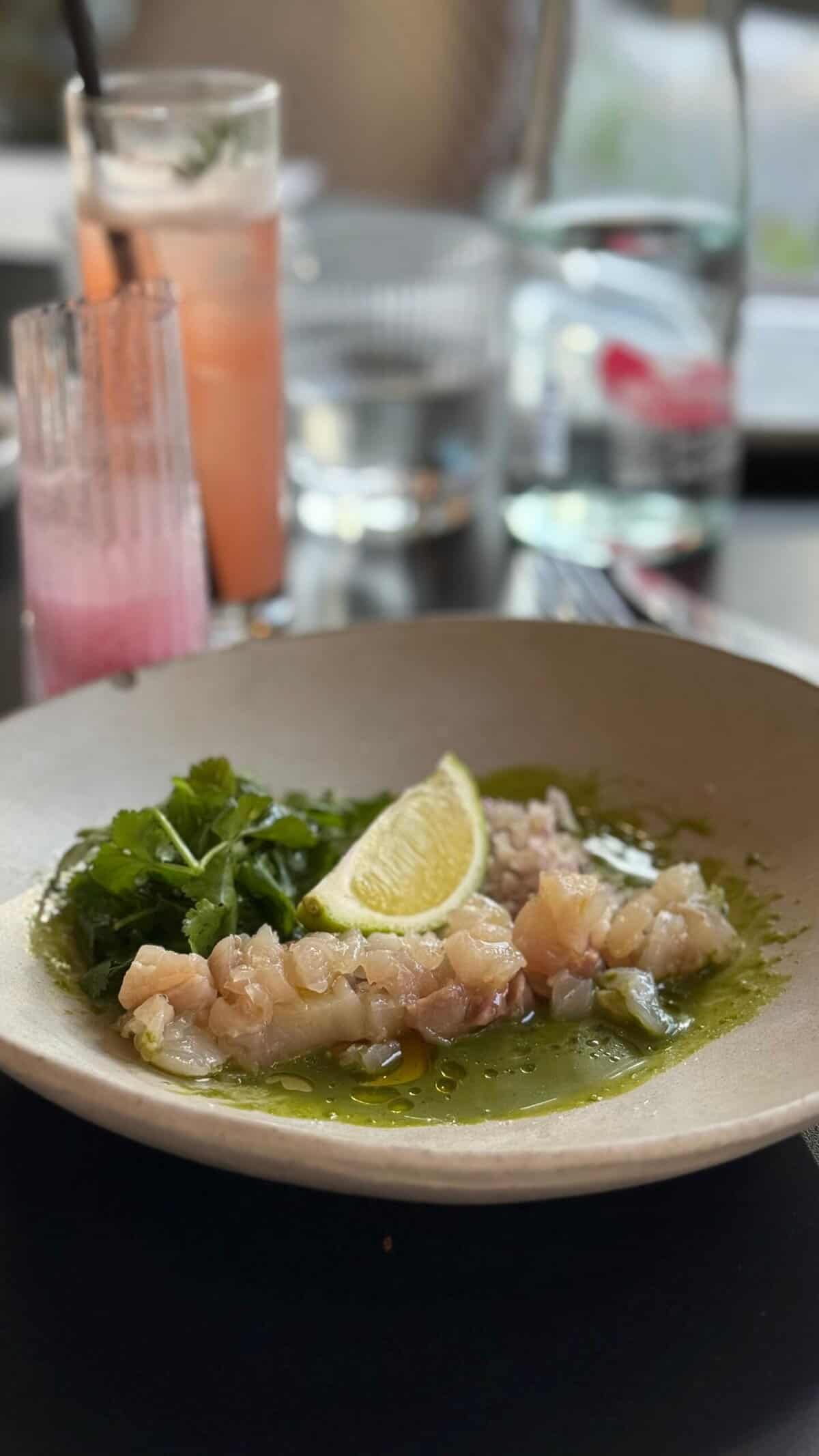 שה ויוי צהריים בטן מלאה