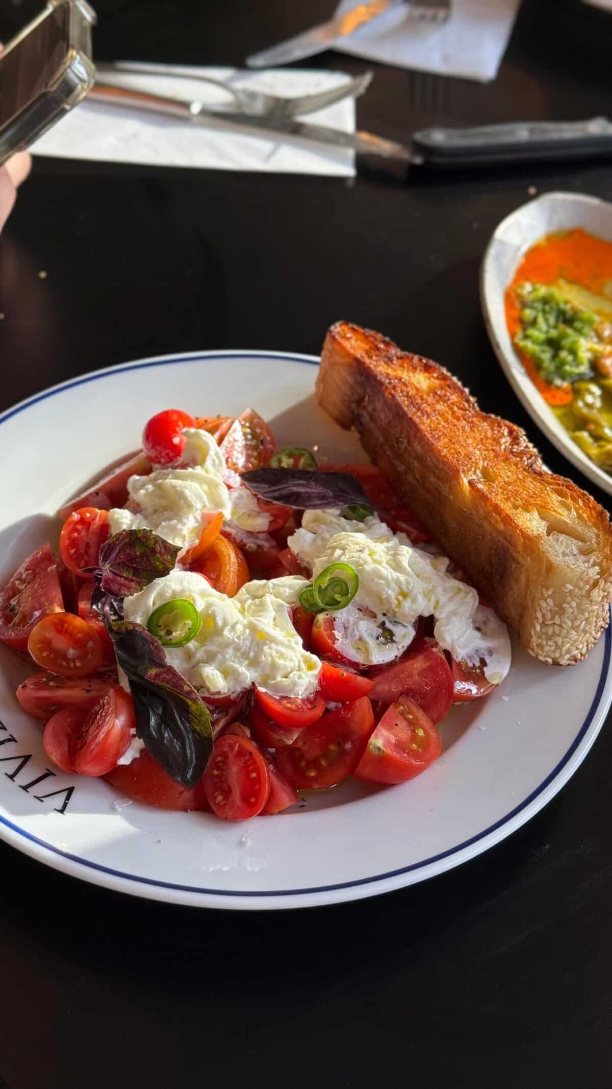 שה ויוי צהריים בטן מלאה